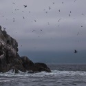 Камчатка